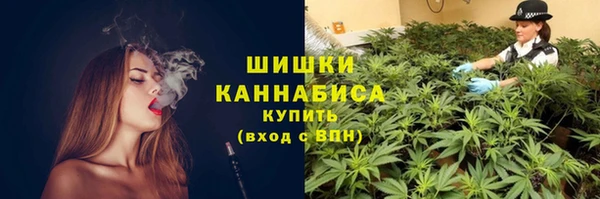 ГАЛЛЮЦИНОГЕННЫЕ ГРИБЫ Бугульма